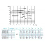 Консольно-моноблочный насос CNP ZS 65-50-200/7,5 SSC